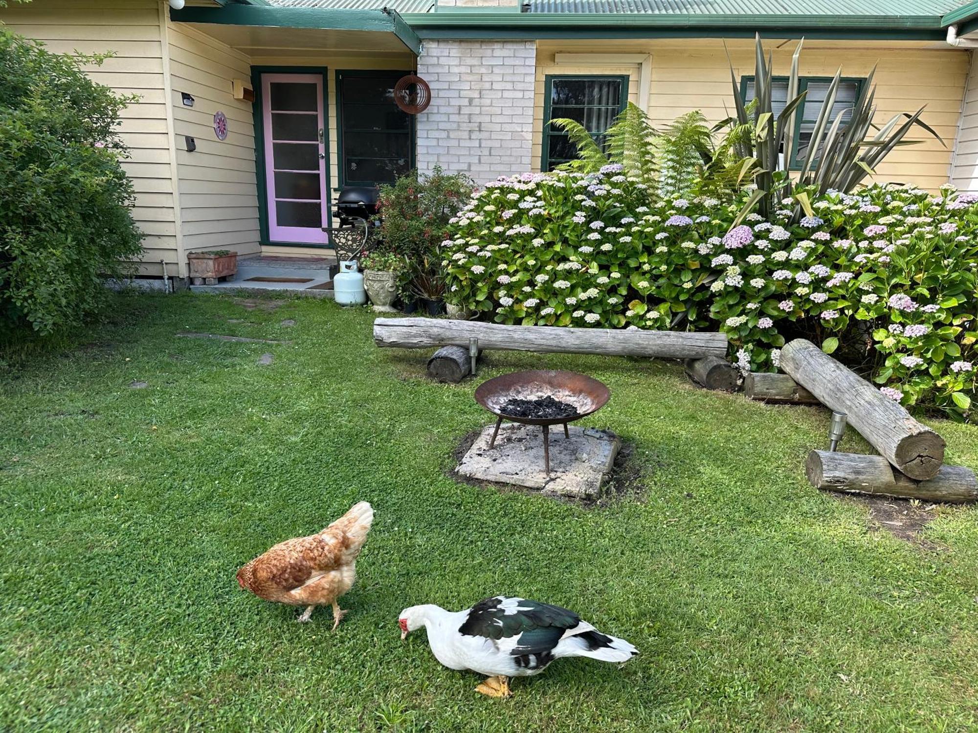 Bush Retreat Farm Stay 2 Bedroom Guest Suite Gelliondale Eksteriør bilde